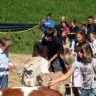 IMG_7287_jpg-1316963489