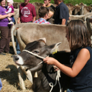 IMG_7295_jpg-1316963562