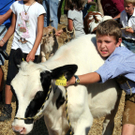 IMG_7300_jpg-1316963570