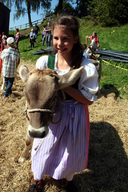 IMG_7306_jpg-1316963582
