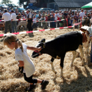 IMG_7307_jpg-1316963597