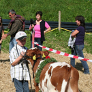 IMG_7316_jpg-1316963616