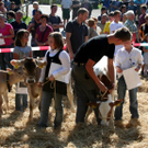 IMG_7320_jpg-1316963628
