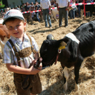Viehausstellung 6_jpg-1316963745