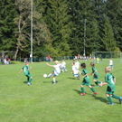 DSC_0207.JPG