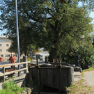 dst-46609.jpg
