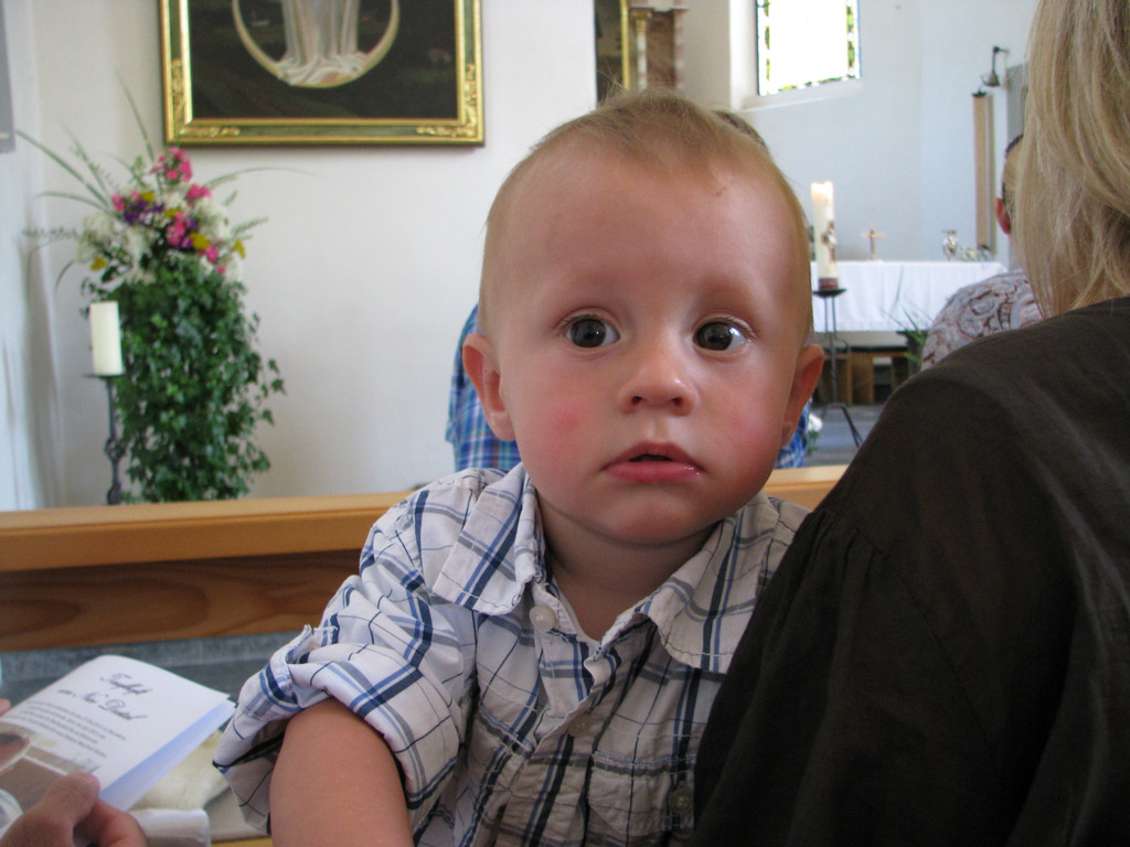 IMG_3439_JPG-1316977962