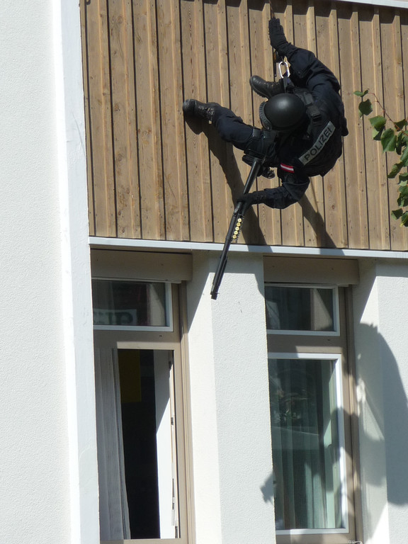 Kobra Einsatz _8__JPG-1316982725