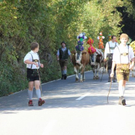 normal_24092011almrlaktivnws__108_.JPG