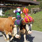 normal_24092011almrlaktivnws__28_.JPG