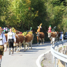 normal_24092011almrlaktivnws__3_.JPG