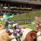 normal_24092011almrlaktivnws__31_.JPG