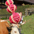 normal_24092011almrlaktivnws__37_.JPG