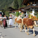 normal_24092011almrlaktivnws__39_.JPG