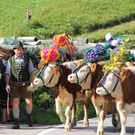 normal_24092011almrlaktivnws__6_.JPG