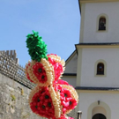 normal_24092011almrlaktivnws__85_.JPG