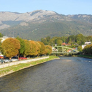 salz11.JPG