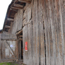 DSC_6923.jpg