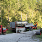 Asphaltierung L69 Weiler Sep 2011 _25__jpg-1317051342