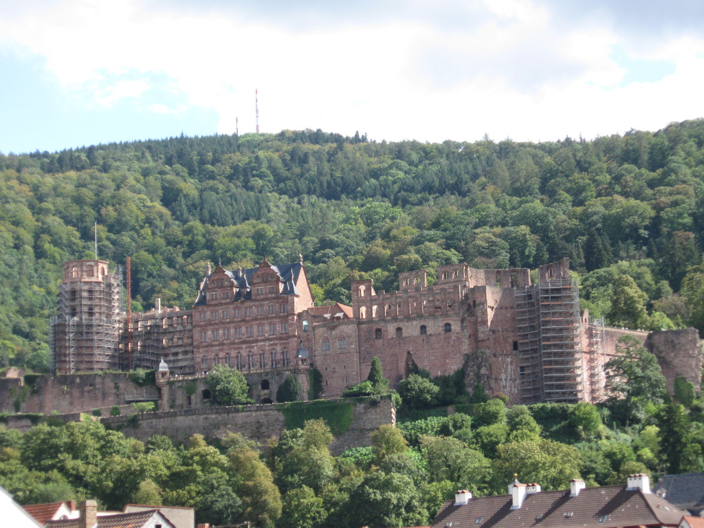 2011_09_05-00020_jpg-1317054974