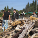 IMG_4142.JPG