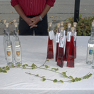 055_bearbeitet-1.jpg