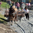 DSC_0276_JPG-1317078044
