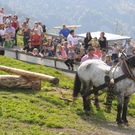 HofkirchnerHR_JPG-1317078171