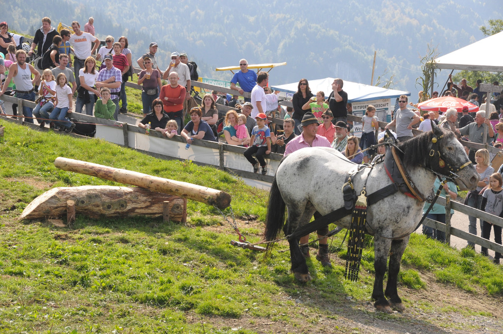 HofkirchnerHR_JPG-1317078171