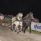 MaierSZDS_JPG-1317078344