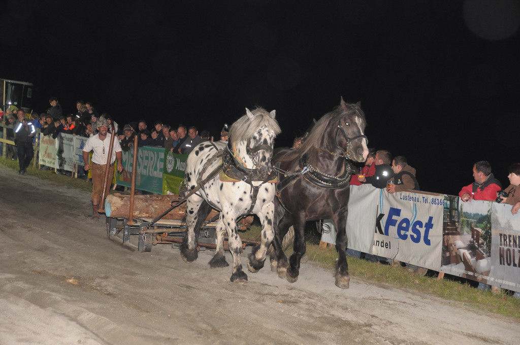 MaierSZDS_JPG-1317078344