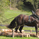 M__llerHR_jpg-1317078469