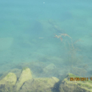 Tresore in der Donau