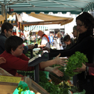 DSC_0042_JPG-1317106331