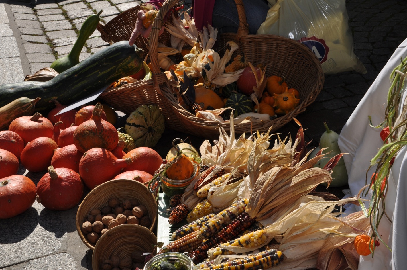 DSC_0051_JPG-1317106365