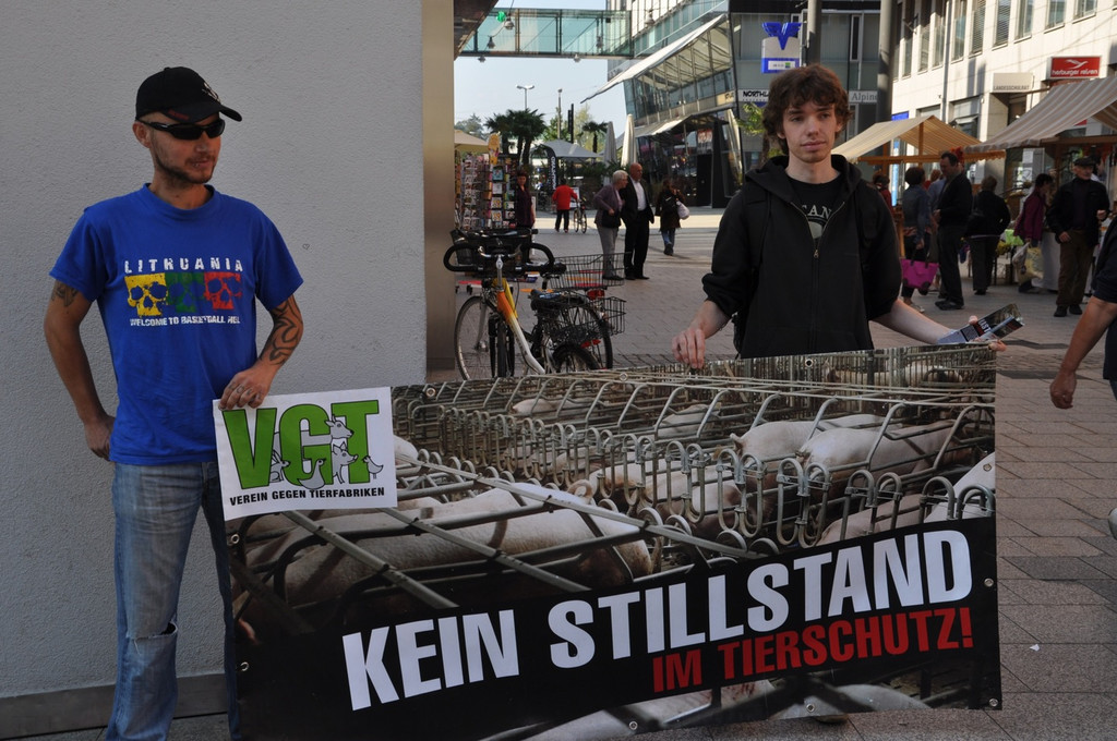 DSC_0068_JPG-1317106421