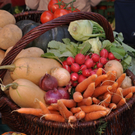 DSC_0071_JPG-1317106427