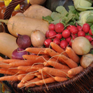 DSC_0094_JPG-1317106475