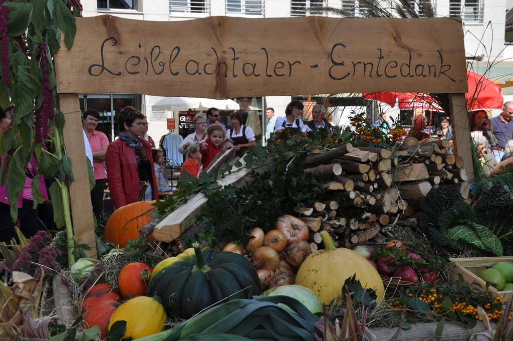 DSC_0135_JPG-1317106541