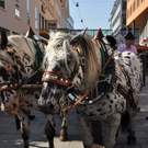 DSC_0140_JPG-1317106558