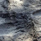 Mexiko: 25.000 Jahre alte Fußabdrücke entdeckt