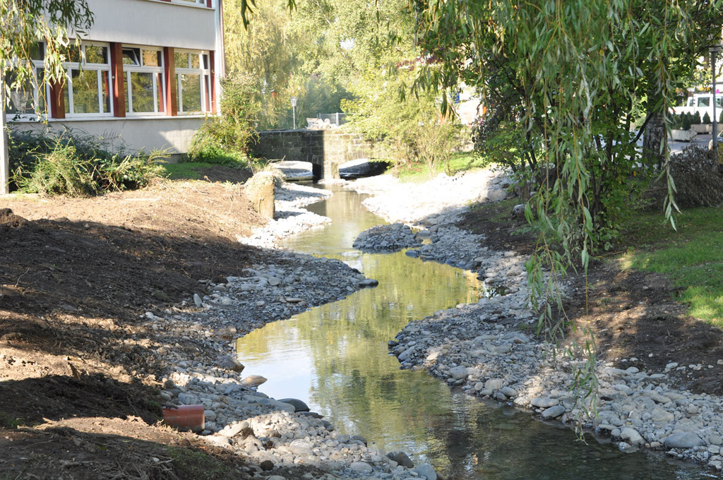 bach1a_jpg-1317158566