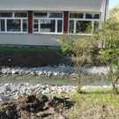 bach3_jpg-1317158586