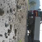 normal_27092011vubrauff_001_20_5_.jpg