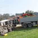 normal_27092011vubrauff_001_20_76_.jpg