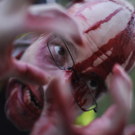 slash-filmfestival: Zombie-Flashmob in Wien