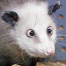 ABD0002-20110629.jpg