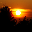 DSC01790_JPG-1317224454
