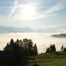 DSC01792_JPG-1317224472