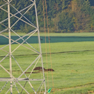 Bilder der Arbeiten
